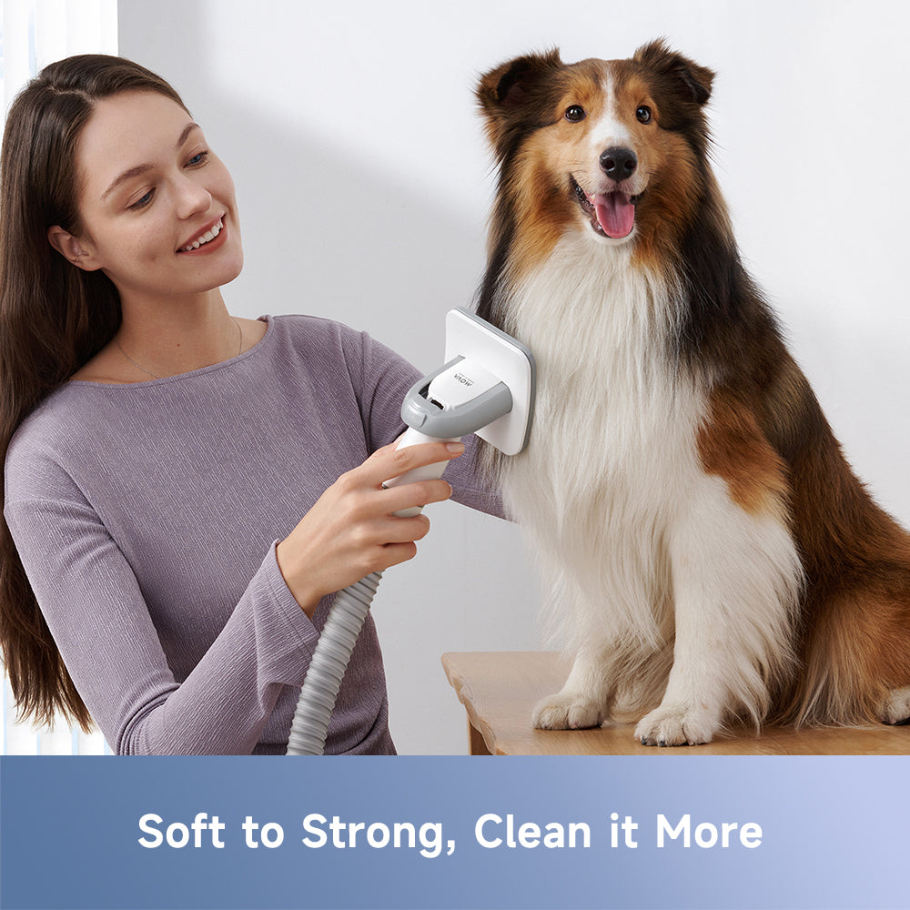 G1 Pro Pet Grooming Kit